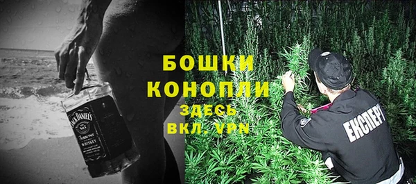 соль ск Михайлов