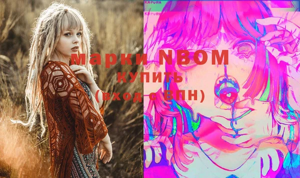 соль ск Михайлов