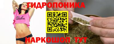 МДПВ Будённовск