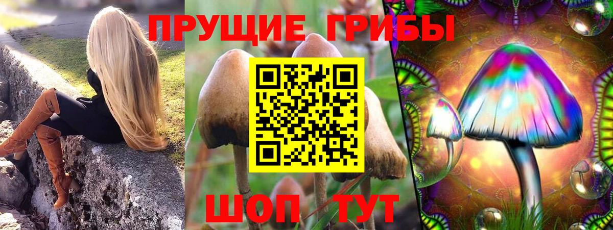 Псилоцибиновые грибы Psilocybe Нягань