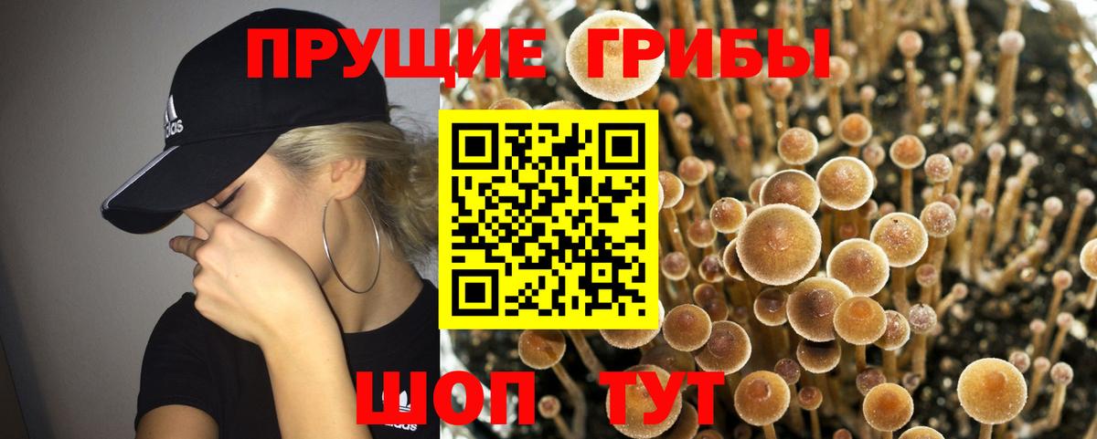 Галлюциногенные грибы прущие грибы  купить  сайты  Нягань 