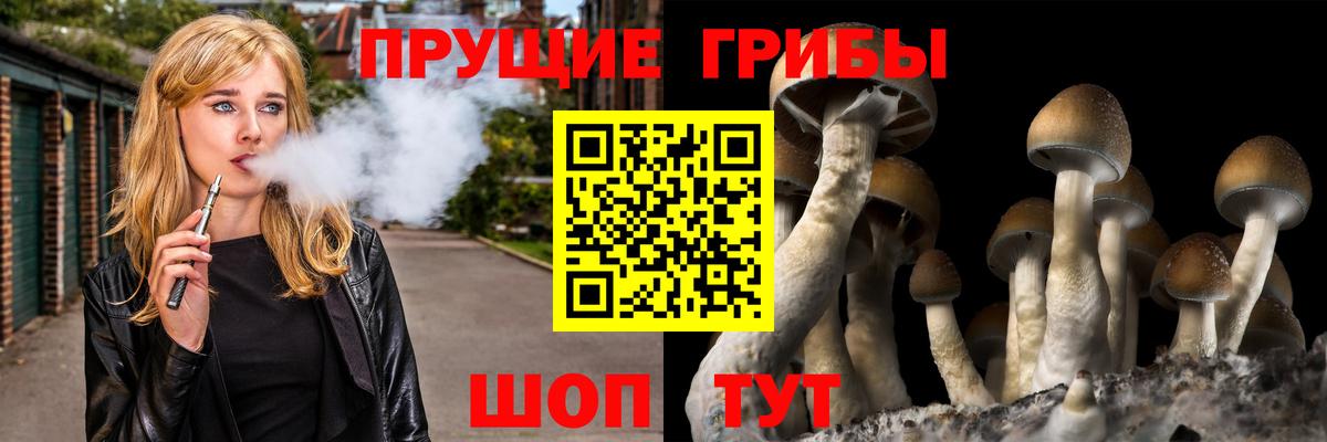 Нягань  Псилоцибиновые грибы MAGIC MUSHROOMS  сколько стоит  Вход с VPN 